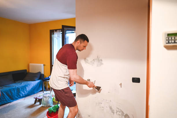 Best Best Mold Removal Companies  in Brownstown, PA
